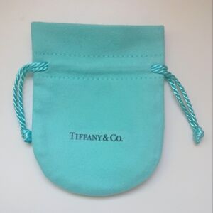NWT Tiffany and Co Small Drawstring Jewelry Bag